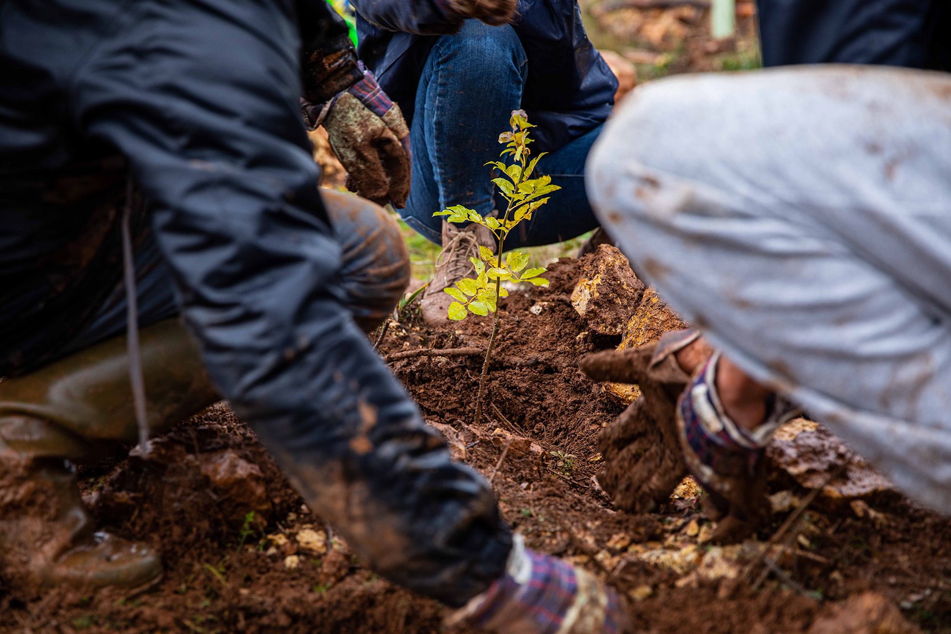 Préservation de la forêt de Jouques (13)
