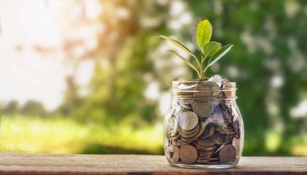 Epargner filière foret