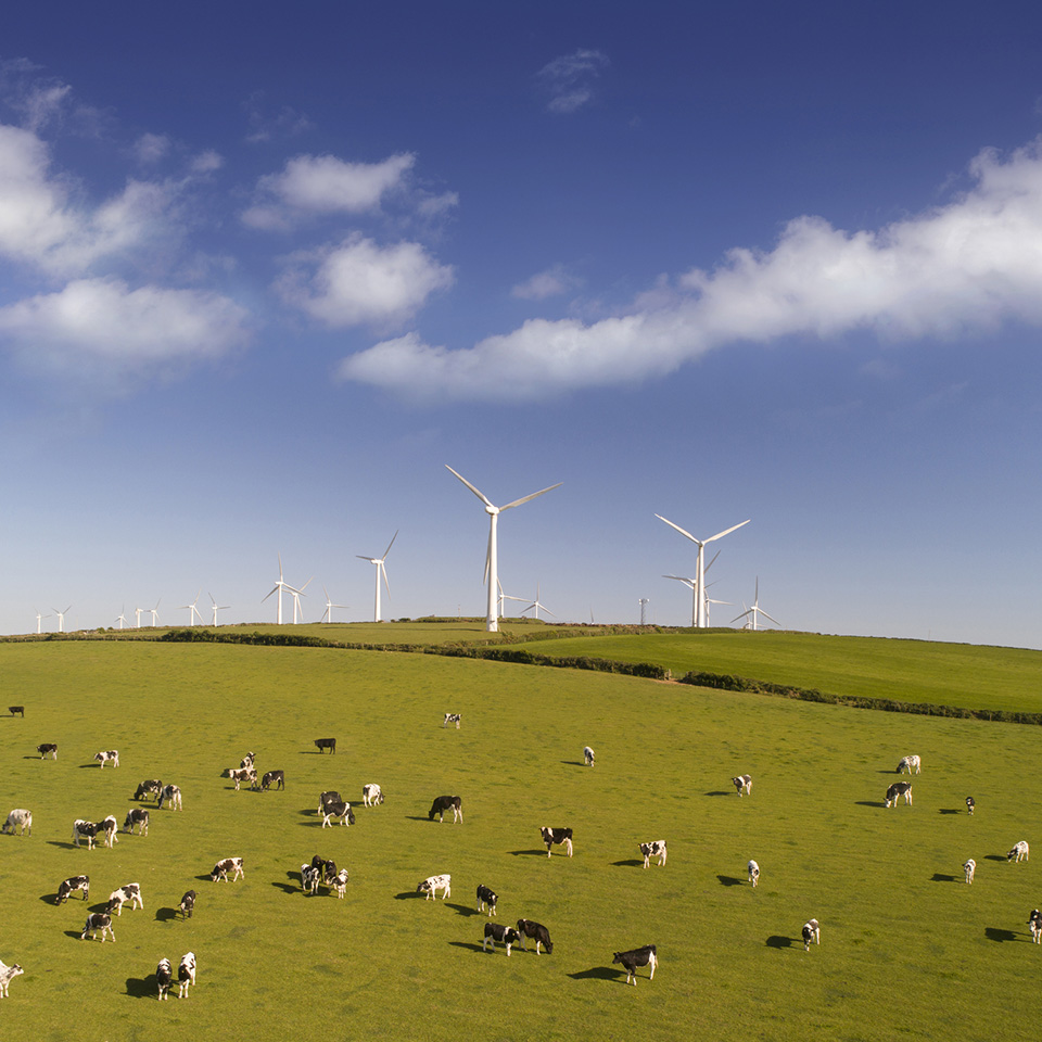 eoliennes 