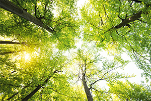 Déclarer un décès en ligne